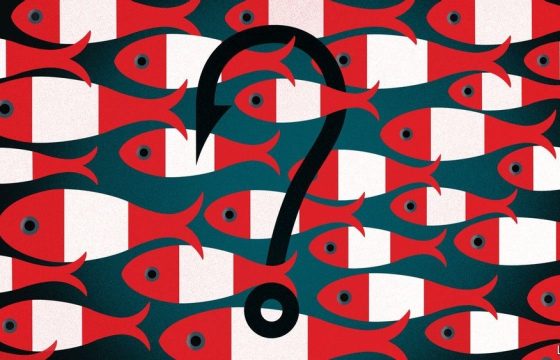 Perú: ¿de quién son los peces?